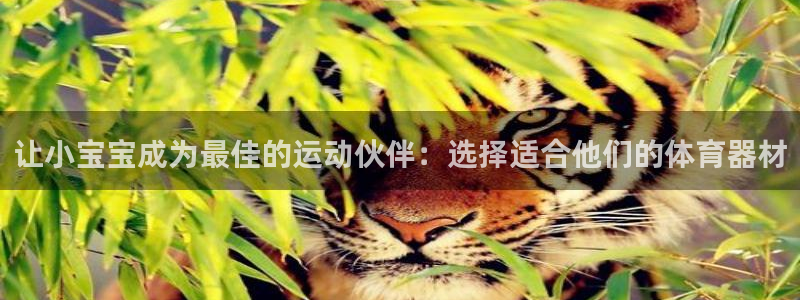 fb体育集团官网网址：让小宝宝成为最佳的运动伙伴：选