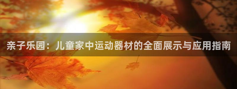 fb体育平台是正规平台吗安全吗：亲子乐园：儿童家中运