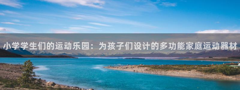 fb体育集团简介：小学学生们的运动乐园：为孩子们设计