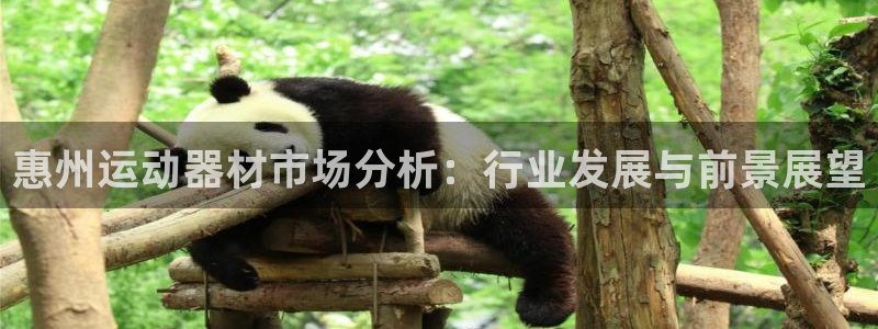 fb体育招商电话是多少：惠州运动器材市场分析：行业发