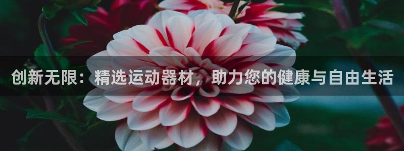 德国fb体育集团