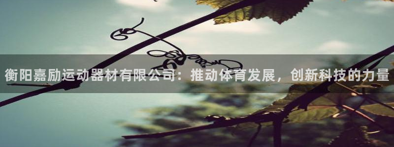 fb体育招商电话地址：衡阳嘉励运动器材有限公司：推动体育发展