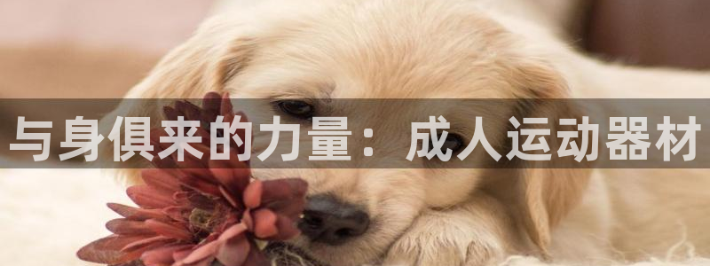 fb体育官网：与身俱来的力量：成人运动器材