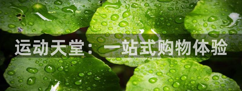 fb体育招商电话地址是多少：运动天堂：一站式购物体验