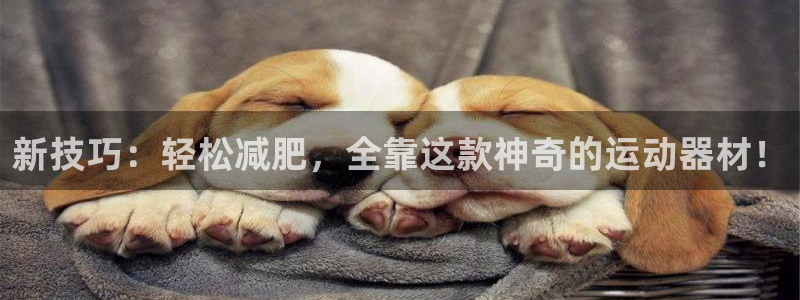 fb体育招商电话号码查询：新技巧：轻松减肥，全靠这款