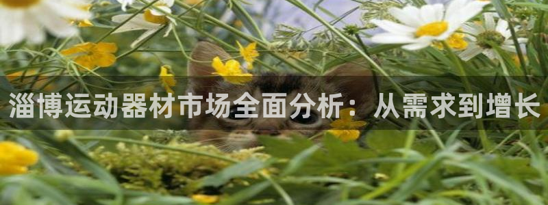 海南fb体育发展怎么样：淄博运动器材市场全面分析：从需求到增