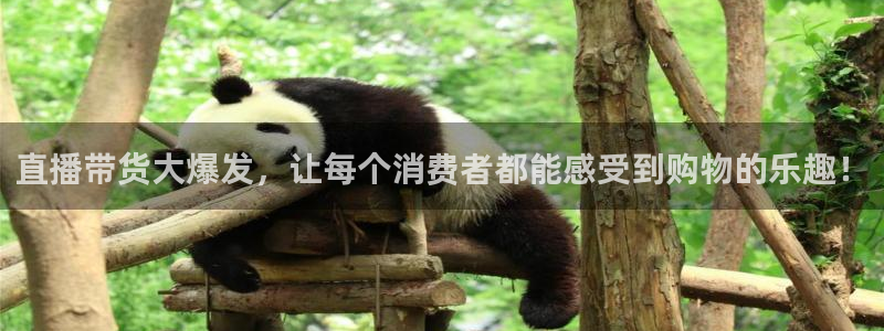 看球吧nba在线高清免费