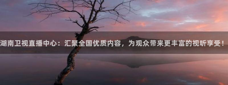 nba免费直播看球吧：湖南卫视直播中心：汇聚全国优质内容，为观众带来更丰富的视听享受！
