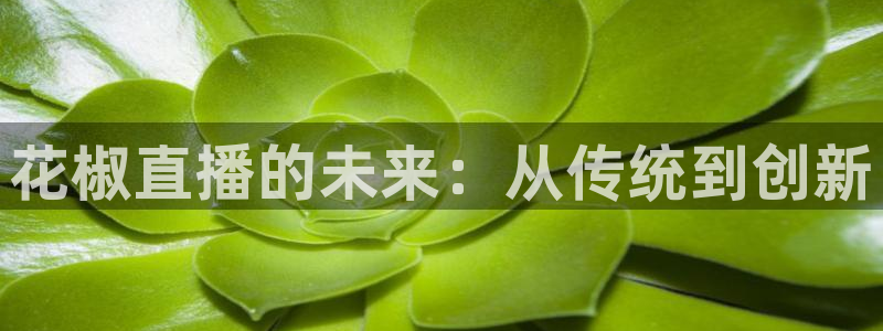 nba无插件直播看球吧：花椒直播的未来：从传统到创新
