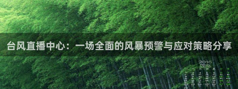 看球吧在线直播：台风直播中心：一场全面的风暴预警与应对策略分享