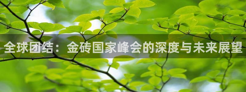 看球吧雨燕直播：全球团结：金砖国家峰会的深度与未来展望