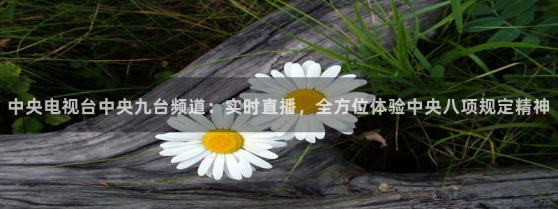 看球吧nba直播：中央电视台中央九台频道：实时直播，全方位体验中央八项规定精神
