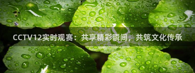 零点直播吧看球吧：CCTV12实时观赛：共享精彩瞬间，共筑文化传承