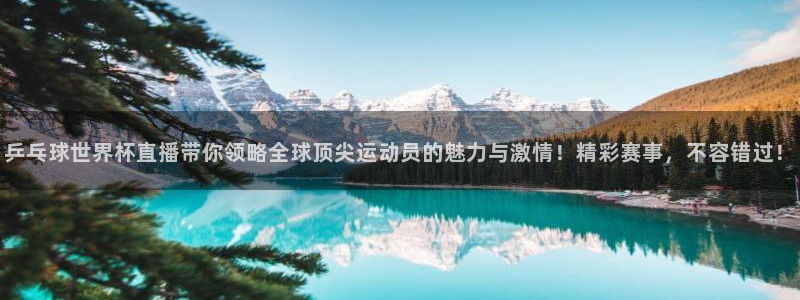 爱看球吧jrs直播：乒乓球世界杯直播带你领略全球顶尖运动员的魅力与激情！精彩赛事，不容错过！