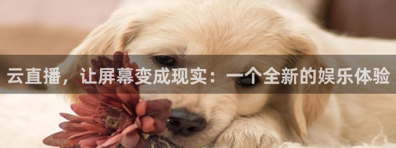 nba直播看球吧：云直播，让屏幕变成现实：一个全新的娱乐体验