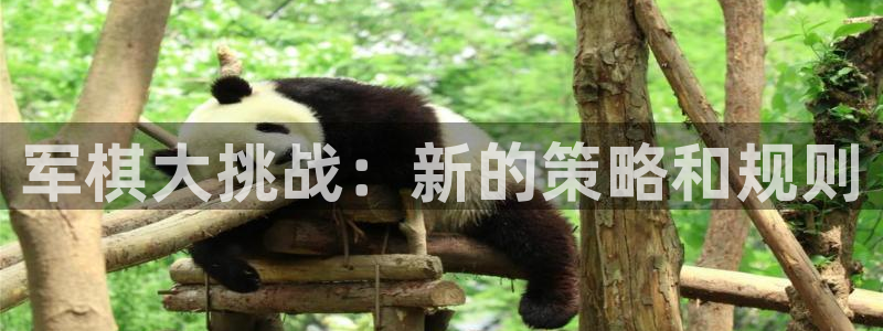 看球吧直播cba直播：军棋大挑战：新的策略和规则